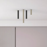 Ceiling-mounted Rose Cylinder downlights in black and matt polished brass finishes, slim tube design with GU10 lamps, shown against a white ceiling above a panelled interior.