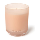 Coconut Milk Mango Boxed Glass Scented Candle