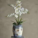 Artificial white orchid plant with arching stems and broad leaves in a blue-grey patterned pot, set against a neutral background.