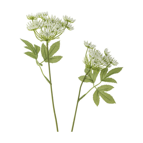 Fennel Artificial Stem in white, two faux stems with umbrella-like clusters of tiny florets and jagged green leaves on slender stalks, set against a plain white background.
