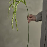Foxtail Artificial Stem in green, held by hand to show the arching beaded tassels and single curved stem against a neutral background.
