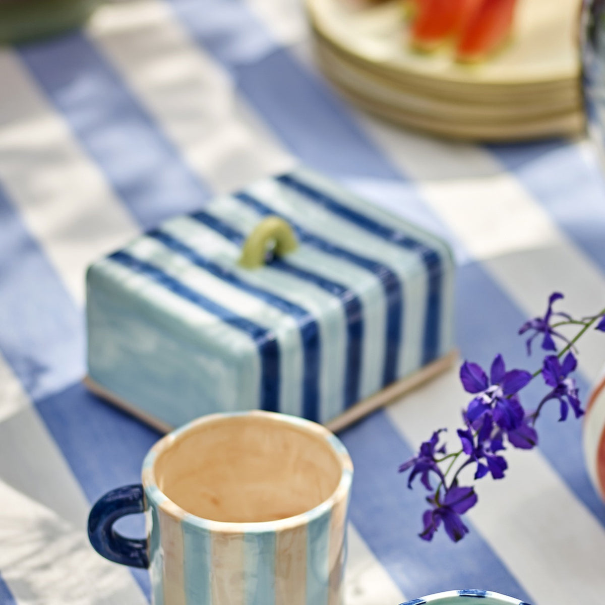 Phoenix Striped Stoneware Butter Dish - Blue