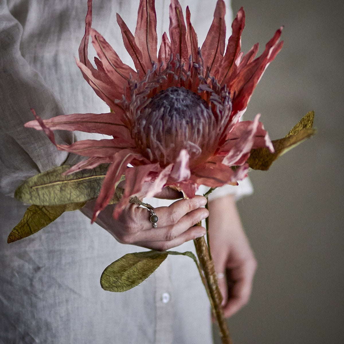 Protea Artificial Stem - Pink