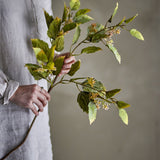 Eucalyptus Artificial Stem 92cm in Green held by hand, showing toothed leaves and small bud clusters along a branching stem, against a neutral background.