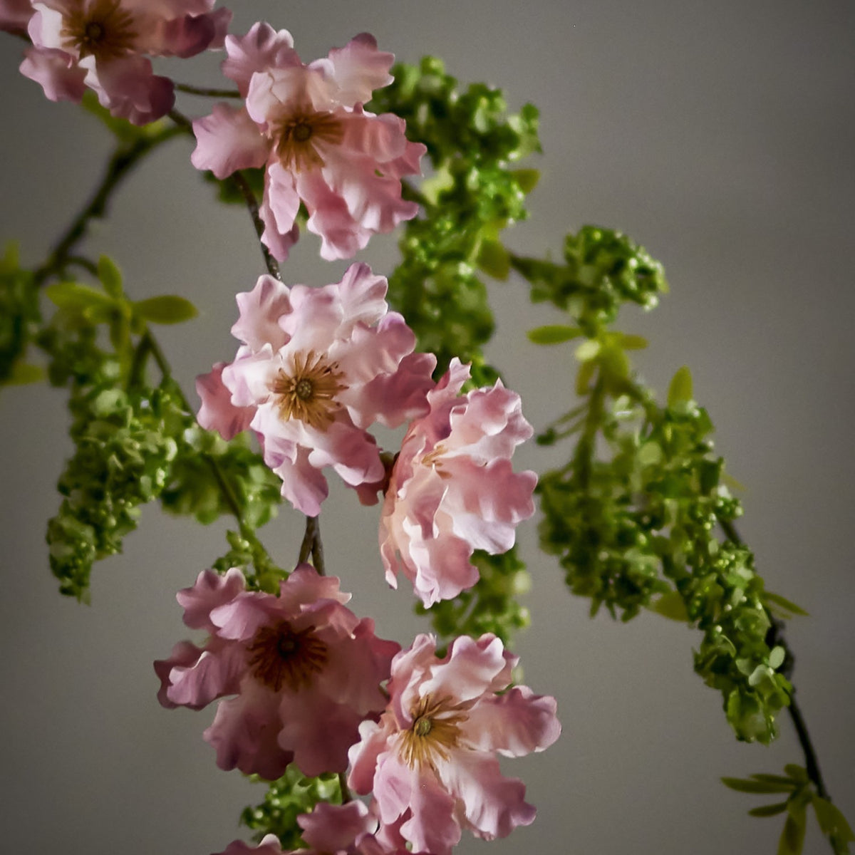 Wild Cherry Artificial Stem in pink, close-up of ruffled blossoms with golden stamens on a slim branch with green foliage, set against a plain grey background.