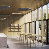 Zero Round Acoustic Panel 98cm in Brushed Titanium, flat circular ceiling panels with grey flecked underside, shown suspended above a wood-panelled café seating area.