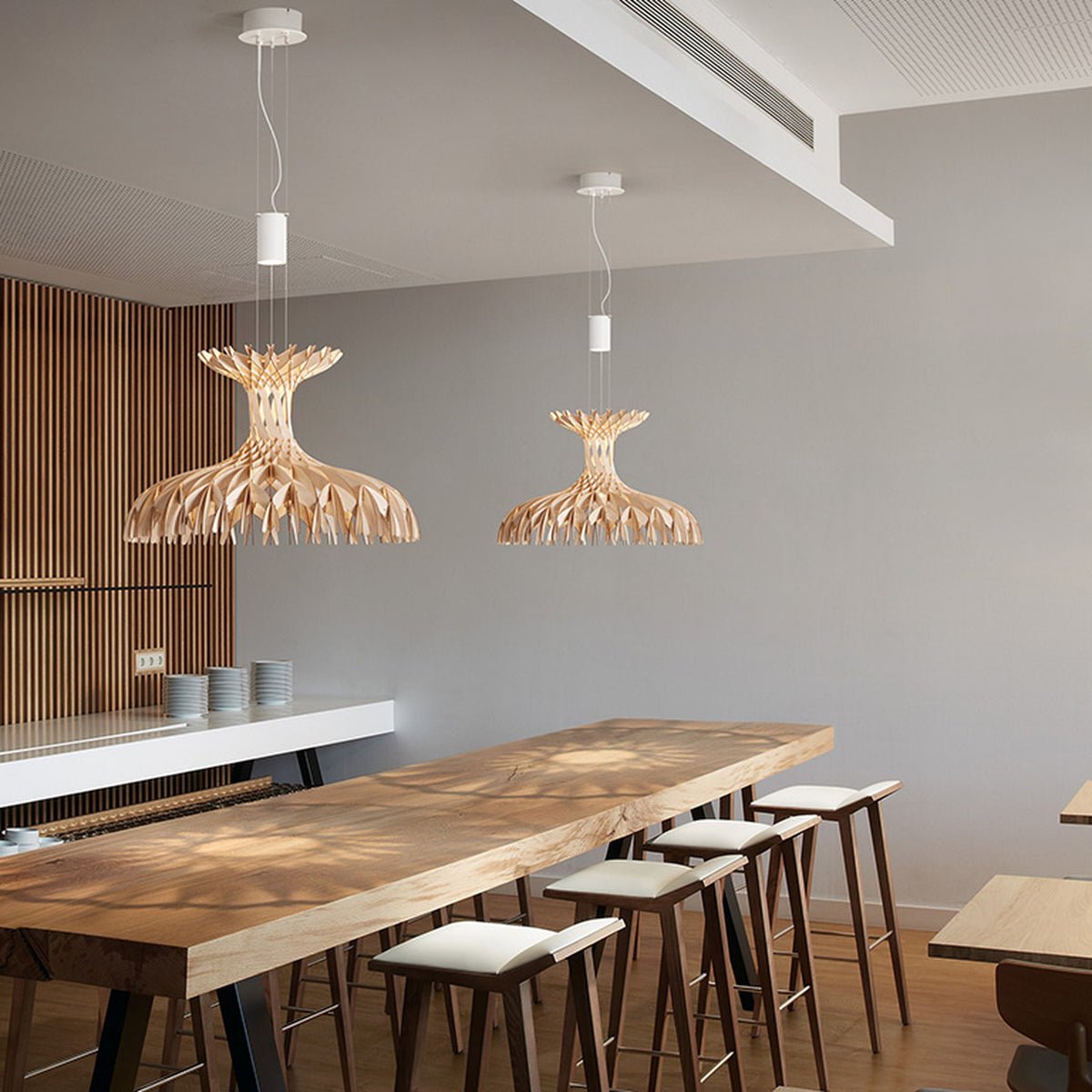 Dome 60/01 Wood LED Pendant Light - Matt White & Natural Wood