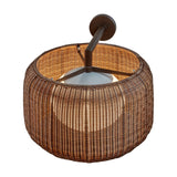Fora A Rattan LED outdoor wall light with a round woven Rattan Brown drum shade, graphite brown arm and wall plate, and visible white globe diffuser, on a white background.
