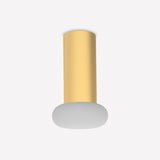 Rina Opal Glass Recessed Wall & Ceiling Light in polished brass, with a slim cylindrical body and a rounded opal glass diffuser, shown on a plain white background.