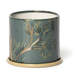 Hinoki Sage Demi Vanity Tin Scented Candle