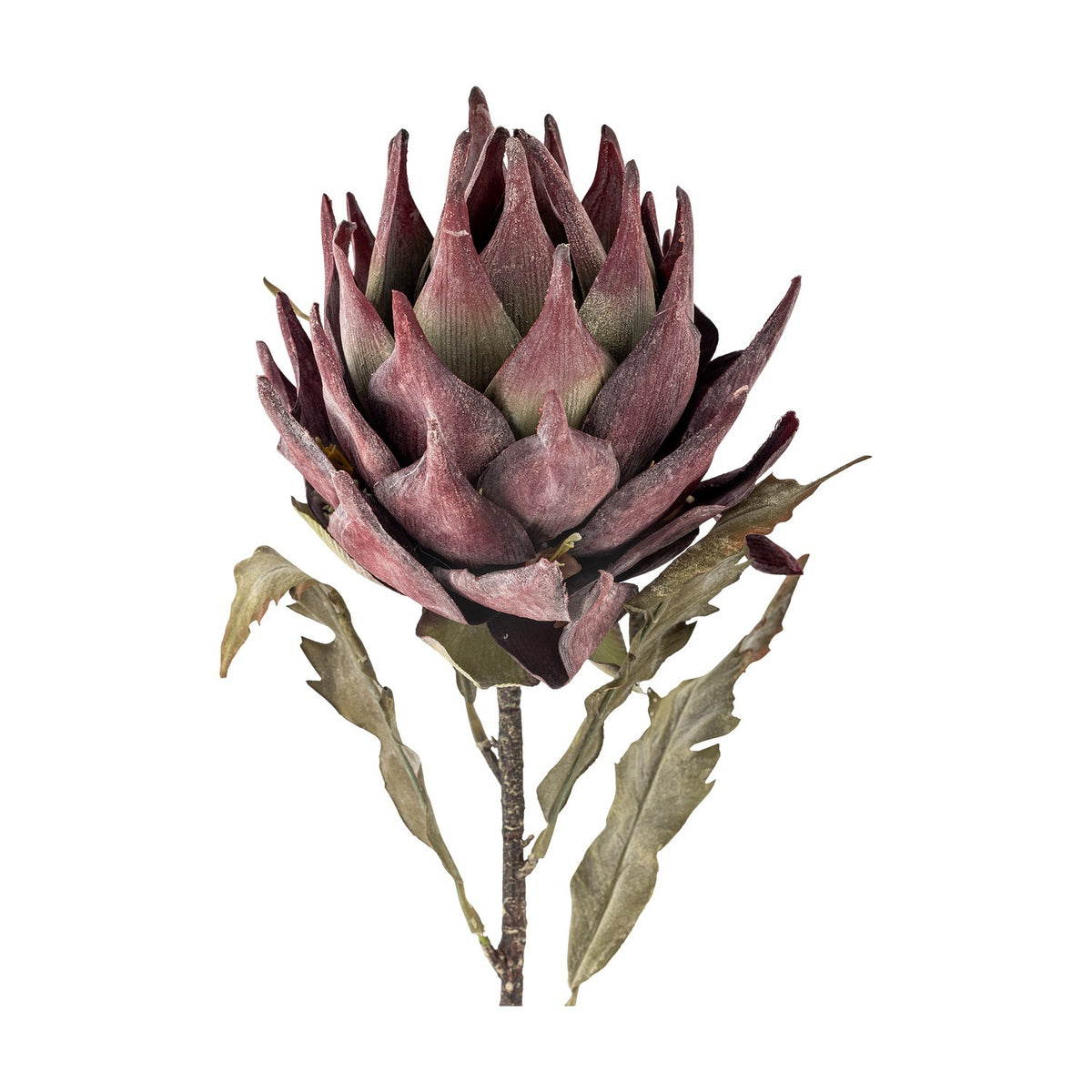Artificial Protea Stem, 76cm, with a dense purple flower head of pointed layered petals on a slender stem with wavy-edged leaves, shown against a white background.