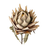 Protea Artificial Stem in beige, showing a large layered flowerhead with pointed curling petals around a domed centre and soft green leaves beneath, set on a plain white background.