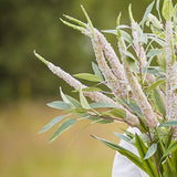 Foxtail Artificial Stem 73cm in pink, showing tapering flower spikes with slender green leaves, arranged in a bouquet against a blurred outdoor background.
