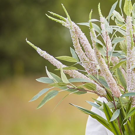 Foxtail Artificial Stem 73cm in pink, showing tapering flower spikes with slender green leaves, arranged in a bouquet against a blurred outdoor background.