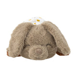Charlie Soft Toy - Multi