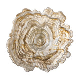 Asimi Glass Bowl 38cm - Champagne