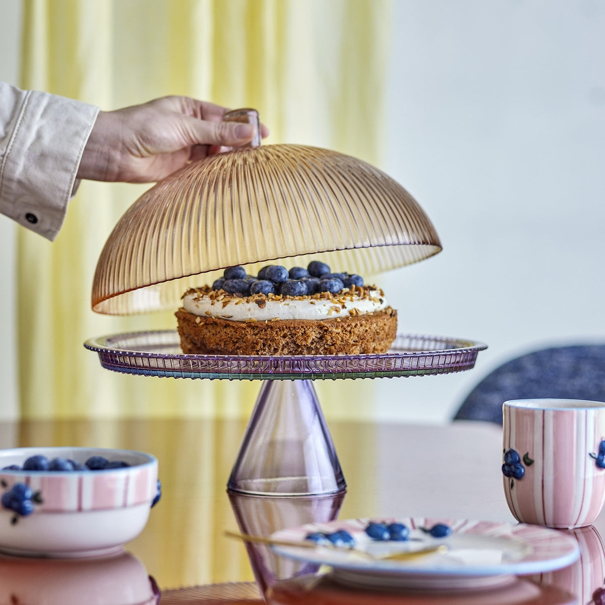 Tayo Round Glass Cake Stand with Lid - Multi