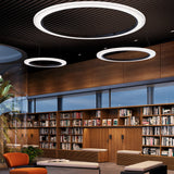 Roda S/120 Ribbon Ring LED pendant lights in cream, wide circular hoop shades with pleated finish, suspended above a wood-panelled library lounge.