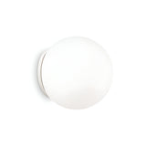 The Lyria Wall Light - White, 30cm is a round, minimalist lamp featuring a smooth, opaque surface that seamlessly mounts on a white wall. Its understated design complements modern decor while offering subtle ambient lighting without any visible detailing or texture.