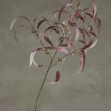 Eucalyptus Artificial Stem - Pink