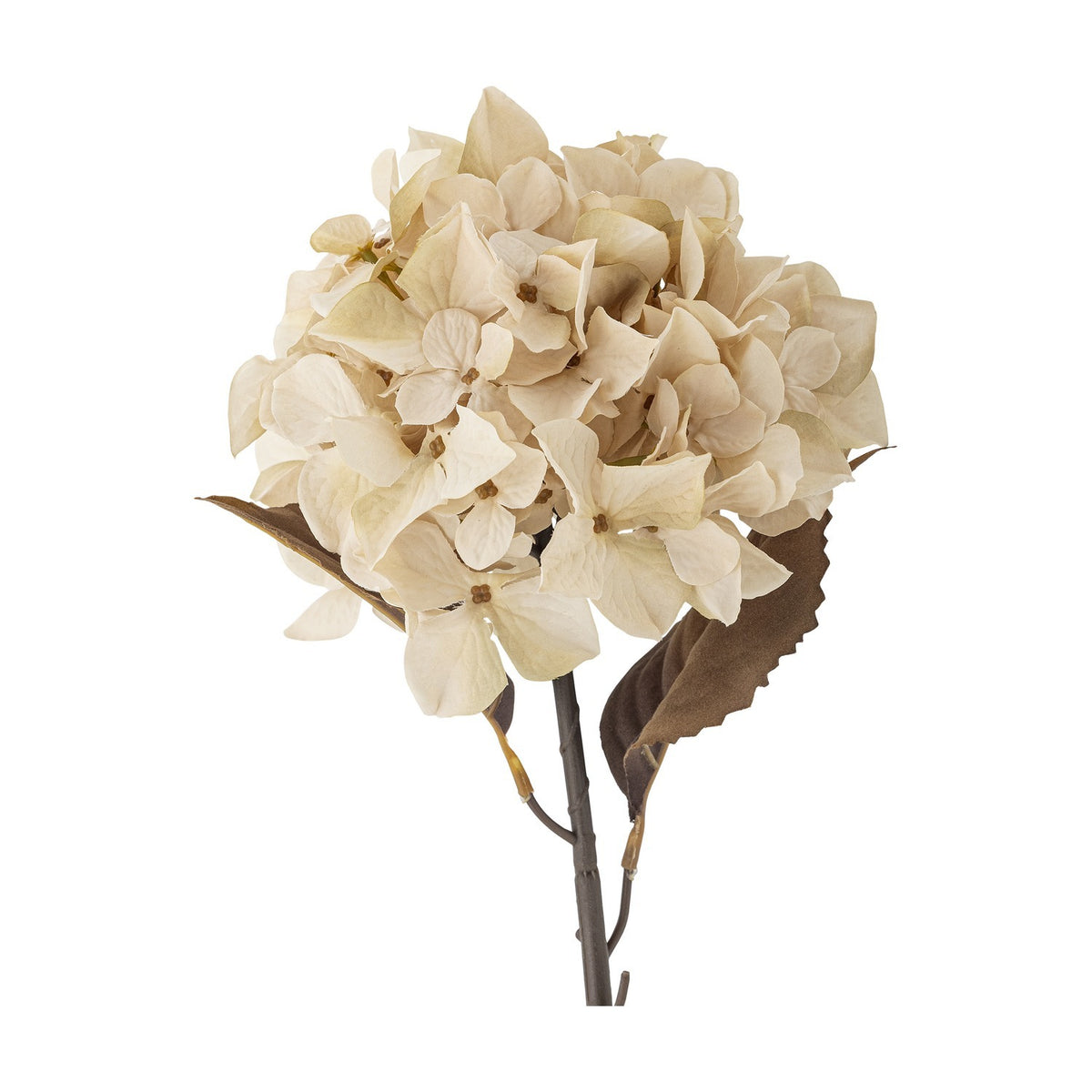 Artificial hydrangea stem in beige with a full, rounded mophead bloom, paired leaves and a woody, knotted stem, shown against a plain white background.