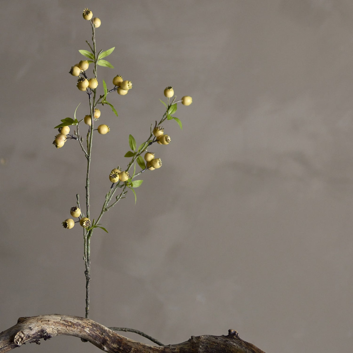 Hawthorn Artificial Branch in yellow, a slender faux stem with clustered round berries and small pointed leaves, set in driftwood against a plain grey background.