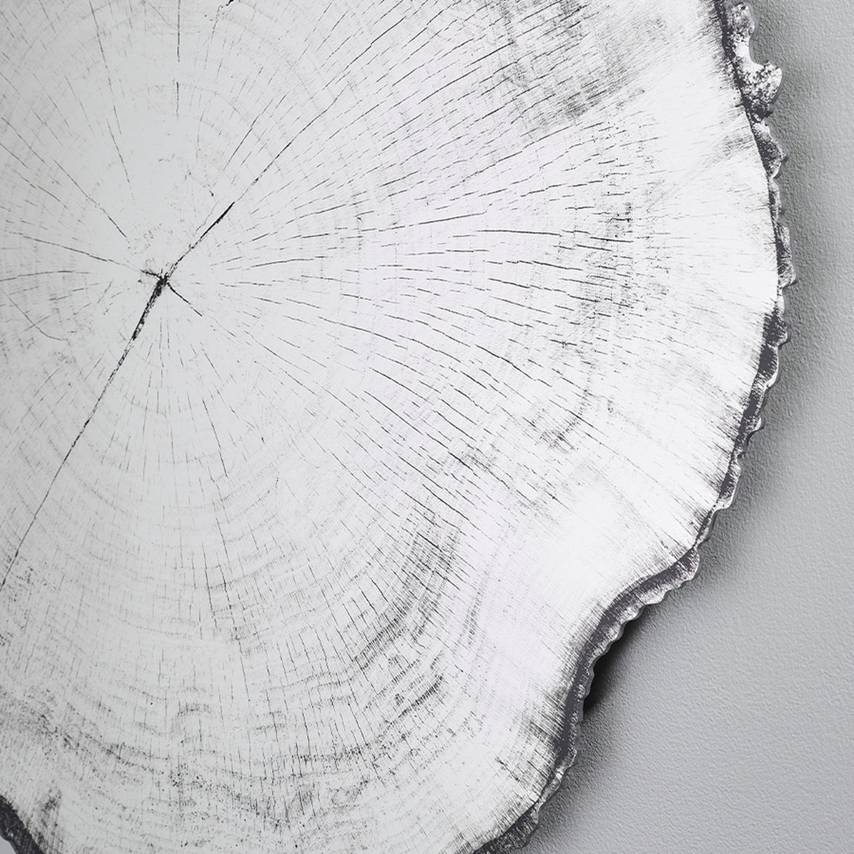 Close-up of the printed growth rings radiating from the centre of the glass, with the ragged dark edge running down one side.