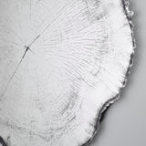 Close-up of the printed growth rings radiating from the centre of the glass, with the ragged dark edge running down one side.