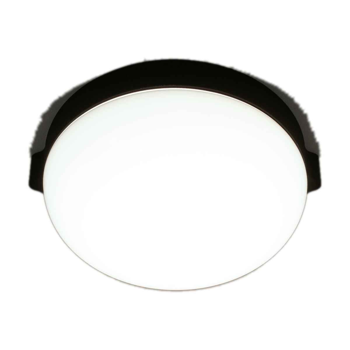 Beaded C Glass LED Ceiling Light, a round flush fixture with a white opal glass diffuser beneath a slim black band, shown against a plain white background.
