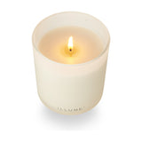 Driftwood Boxed Glass Scented Candle