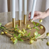 Maxime Iron Christmas Candle Holders Set of 7 in gold, round textured tray with slim cylindrical holders holding white taper candles, styled with a leafy berry sprig on a light table.