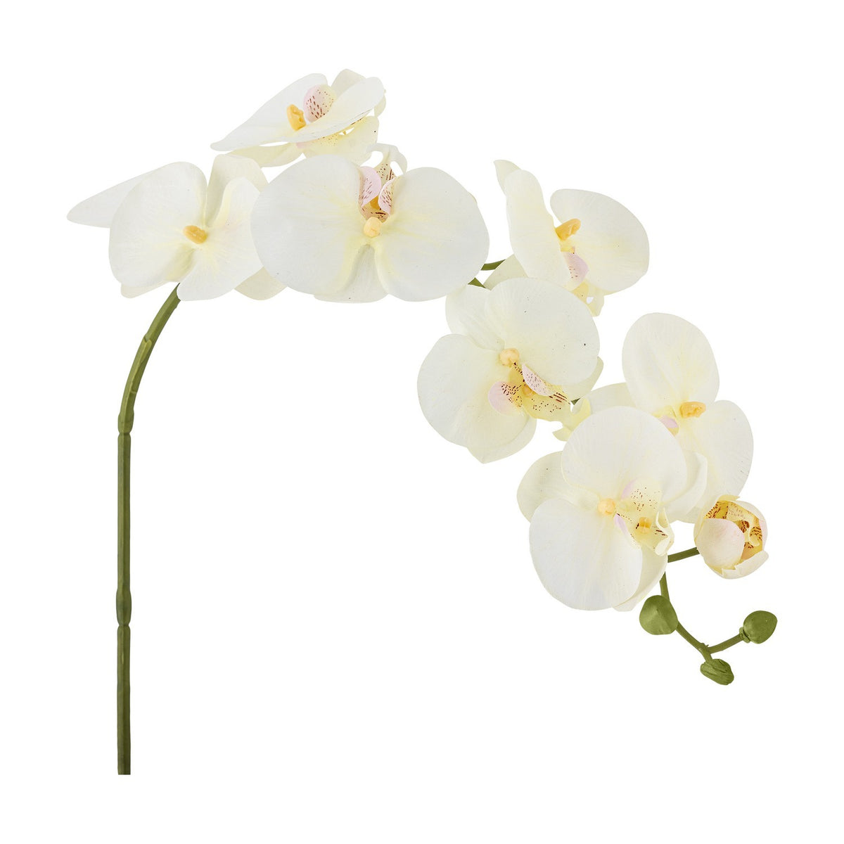 Orchid Artificial Stem 94cm - White