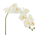 Orchid Artificial Stem 94cm - White