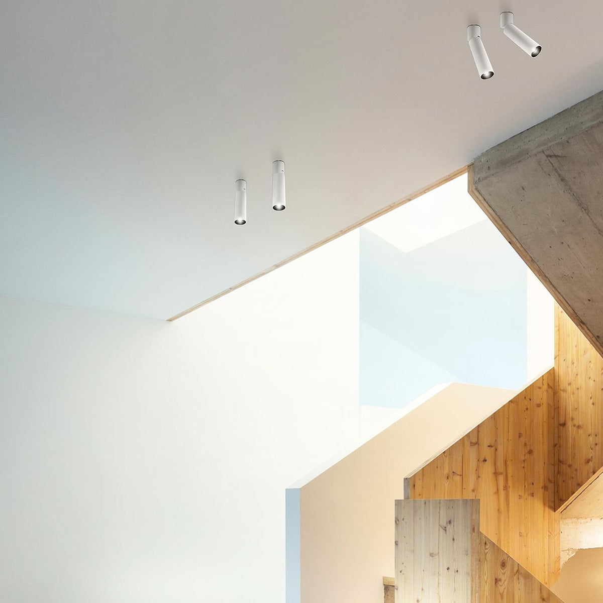 Lola Cylinder LED ceiling light in white, shown as paired slim tube fixtures mounted flush to a white ceiling in a modern stairwell with wood panelling below.