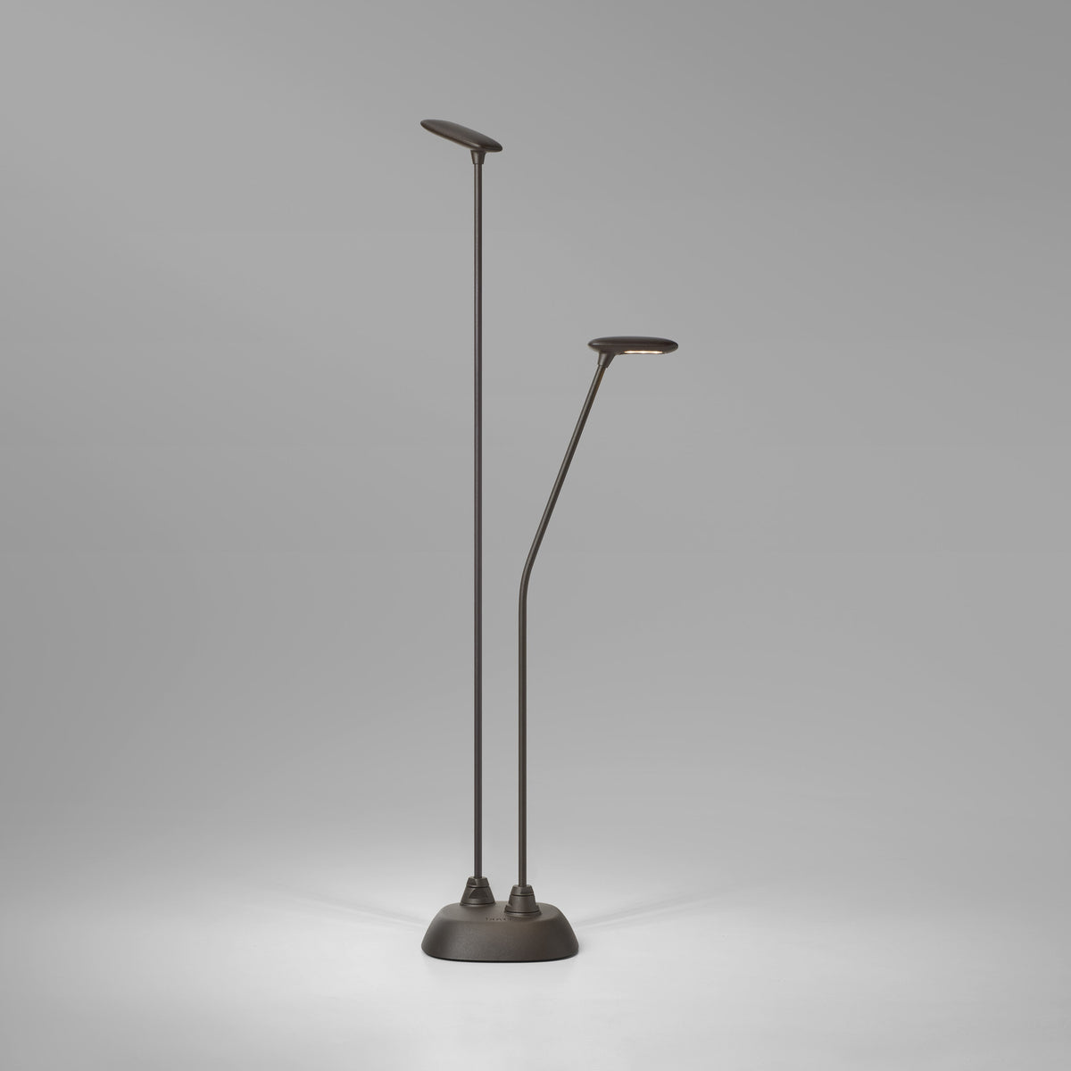Birdie 2 Light LED Bollard Light in graphite brown, two slim stems of differing heights on a shared oval base, each topped with a flat paddle-shaped head, shown on a plain grey background.