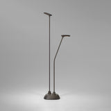 Birdie 2 Light LED Bollard Light in graphite brown, two slim stems of differing heights on a shared oval base, each topped with a flat paddle-shaped head, shown on a plain grey background.