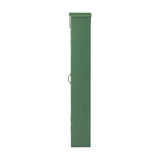 Hazem Floral Wooden Cabinet - Green