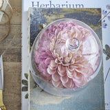 Artificial chrysanthemum stem in pink, shown from above with layered petals under a glass dome, resting on a book for a styled home decor setting.