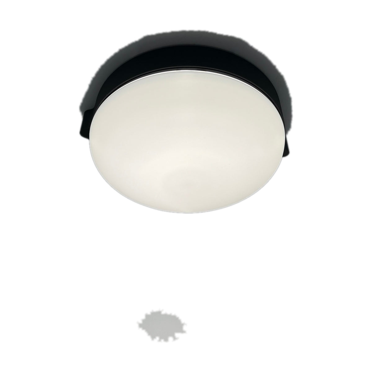 Beaded C flush ceiling light with a rounded opal white glass diffuser beneath a slim black band, integrated LED, shown on a plain white background.