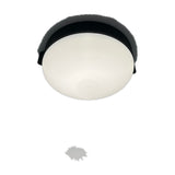 Beaded C flush ceiling light with a rounded opal white glass diffuser beneath a slim black band, integrated LED, shown on a plain white background.