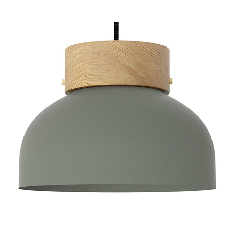 Reiko Flat Pendant Light with Wood Base - Green, a wide low-dome aluminium shade with a natural ash wood cylinder top, shown on a plain white background.
