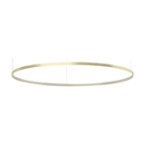 Zero Round Aluminium Ring LED Pendant Light 146cm Without Canopy