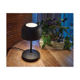 Bol M/37 Dome LED table lamp in matte black with round base and slim stem, glowing warm white on a wooden table beside books and a plant.