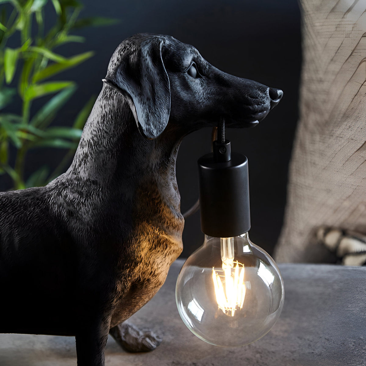 Bevworth Table Lamp in matt black resin, shaped as a dachshund holding an exposed E27 filament bulb, styled beside a plant and cushion.