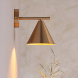 Endon Ashworth brass wall light with adjustable arm and conical shade, mounted on a light wall beside dried grasses, casting a warm glow.