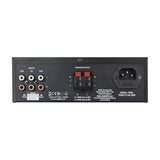 Rear panel of the AVSL QTX KAD-2 Class D stereo amplifier in matt black, showing RCA line inputs, spring clip speaker terminals and IEC power inlet.