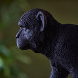 Belvoir Table Lamp in black resin, close-up side profile of the detailed monkey figure base with textured fur finish, set against a blurred green backdrop.