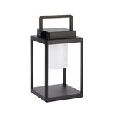 Endon Danedon portable USB rechargeable table lamp in matt black aluminium with white polycarbonate diffuser and carry handle, on a plain background.