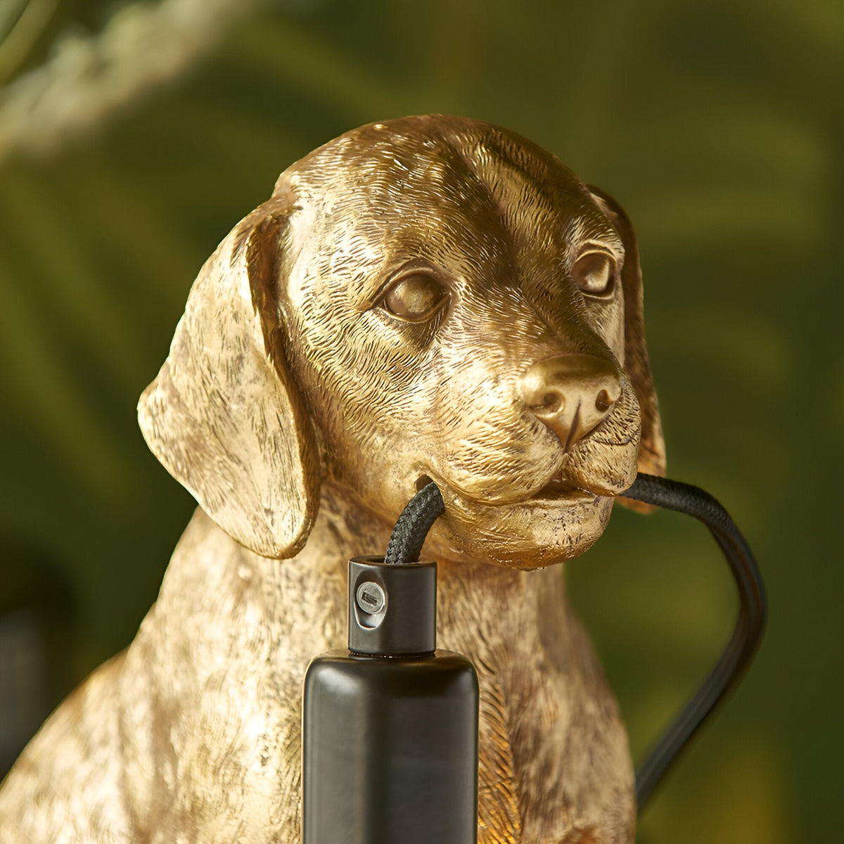 Brockworth Table Lamp in gold resin, shaped as a Labrador puppy with matt black lamp holder and cord, set against a blurred green background.