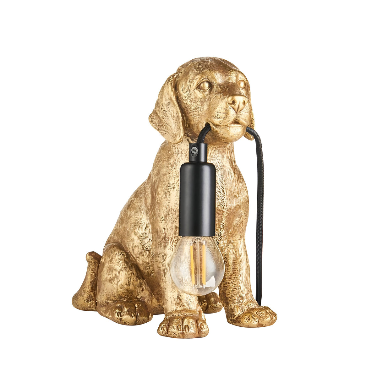 Brockworth Table Lamp in gold resin, shaped as a seated puppy holding a matt black bulb holder with exposed filament bulb in its mouth, on a white background.